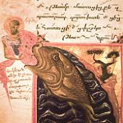 jonah and whale hecum ii 1286